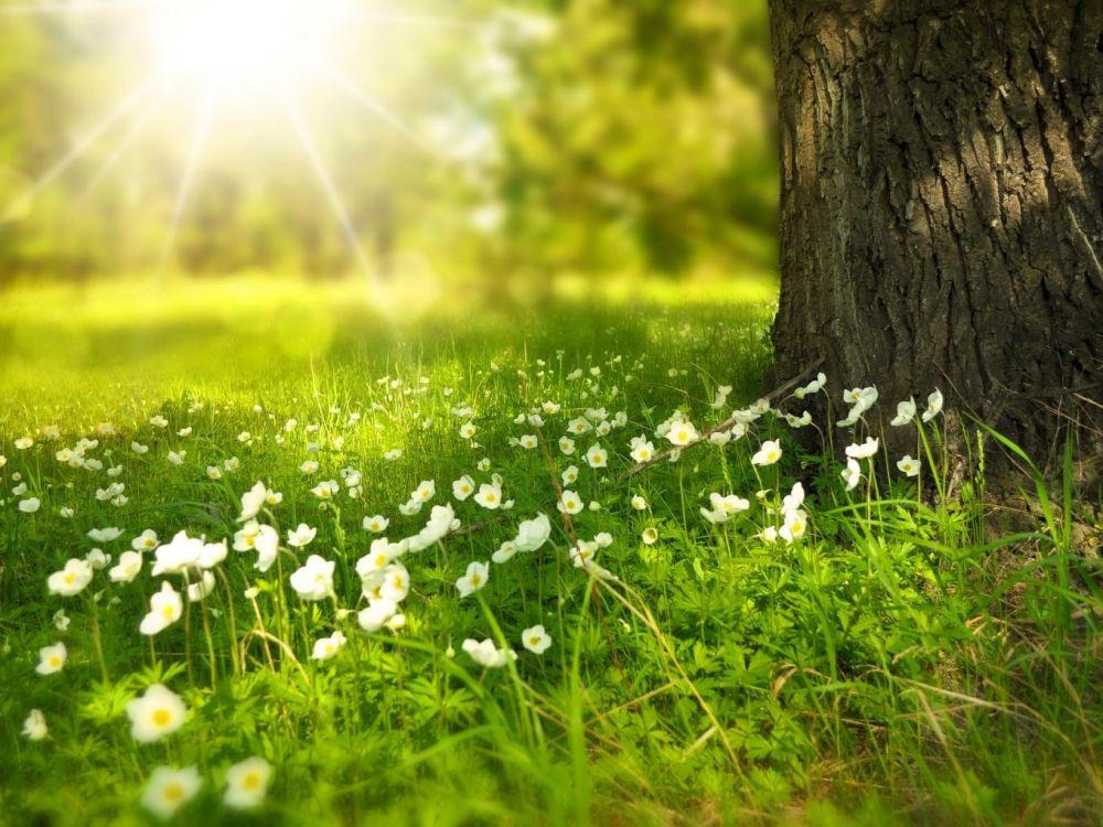 Printemps
